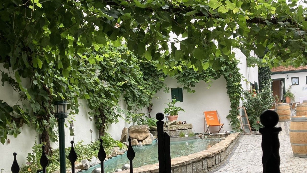 Belső udvar szőlővel, kis tóval és nyugágyakkal.