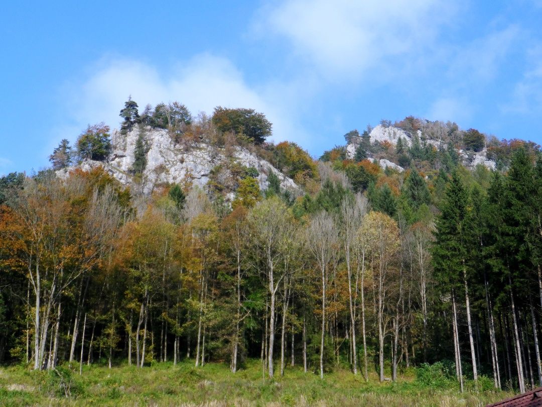 Kilátás a Prochenbergre