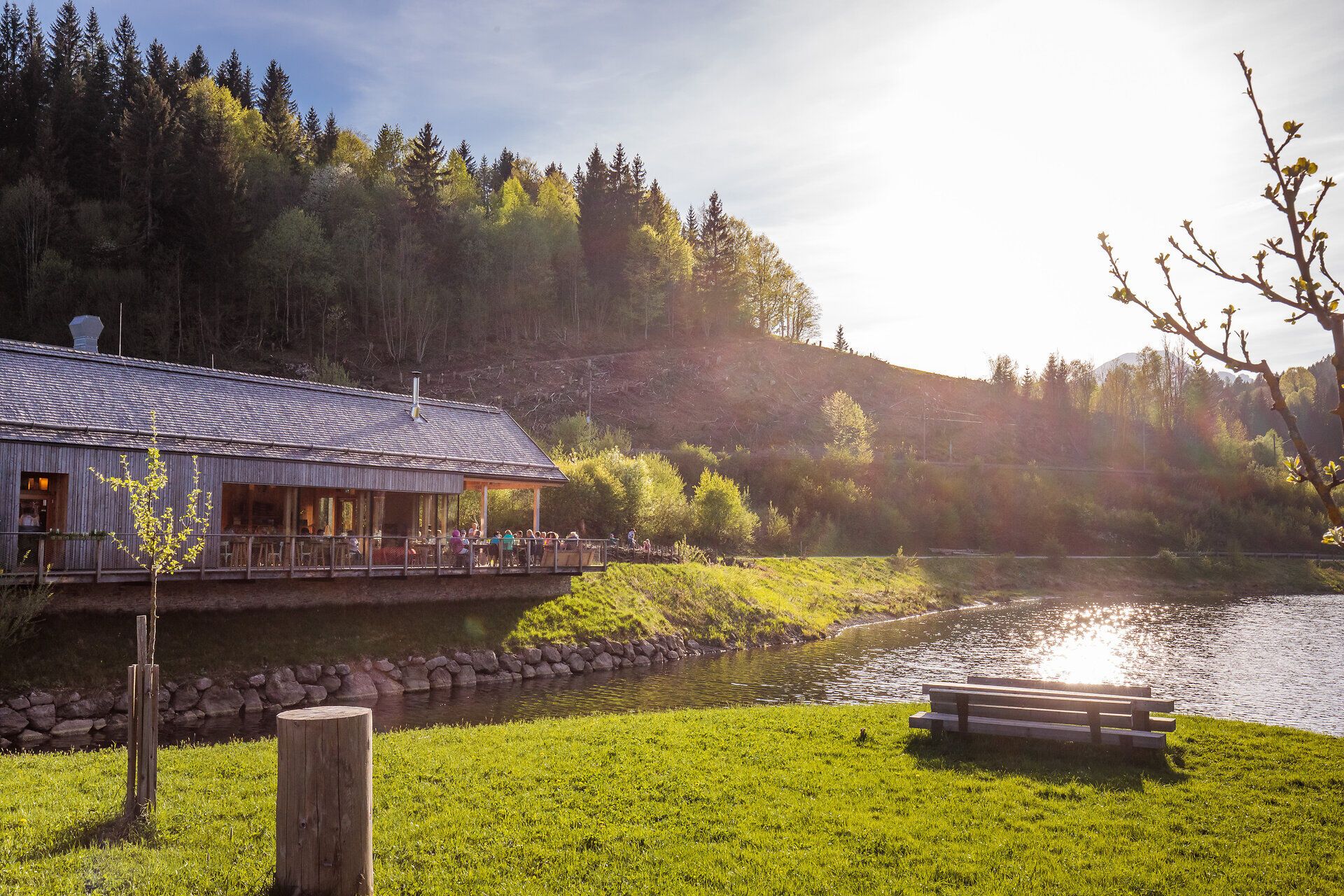 Die sanften Hügel spiegeln sich im ruhigen Wasser, während die Sonne sanft über die Landschaft strahlt. Ein idyllischer Ort, der zum Verweilen und Entspannen einlädt, umgeben von der üppigen Natur des Ötscher Tormäuer Naturparks.
