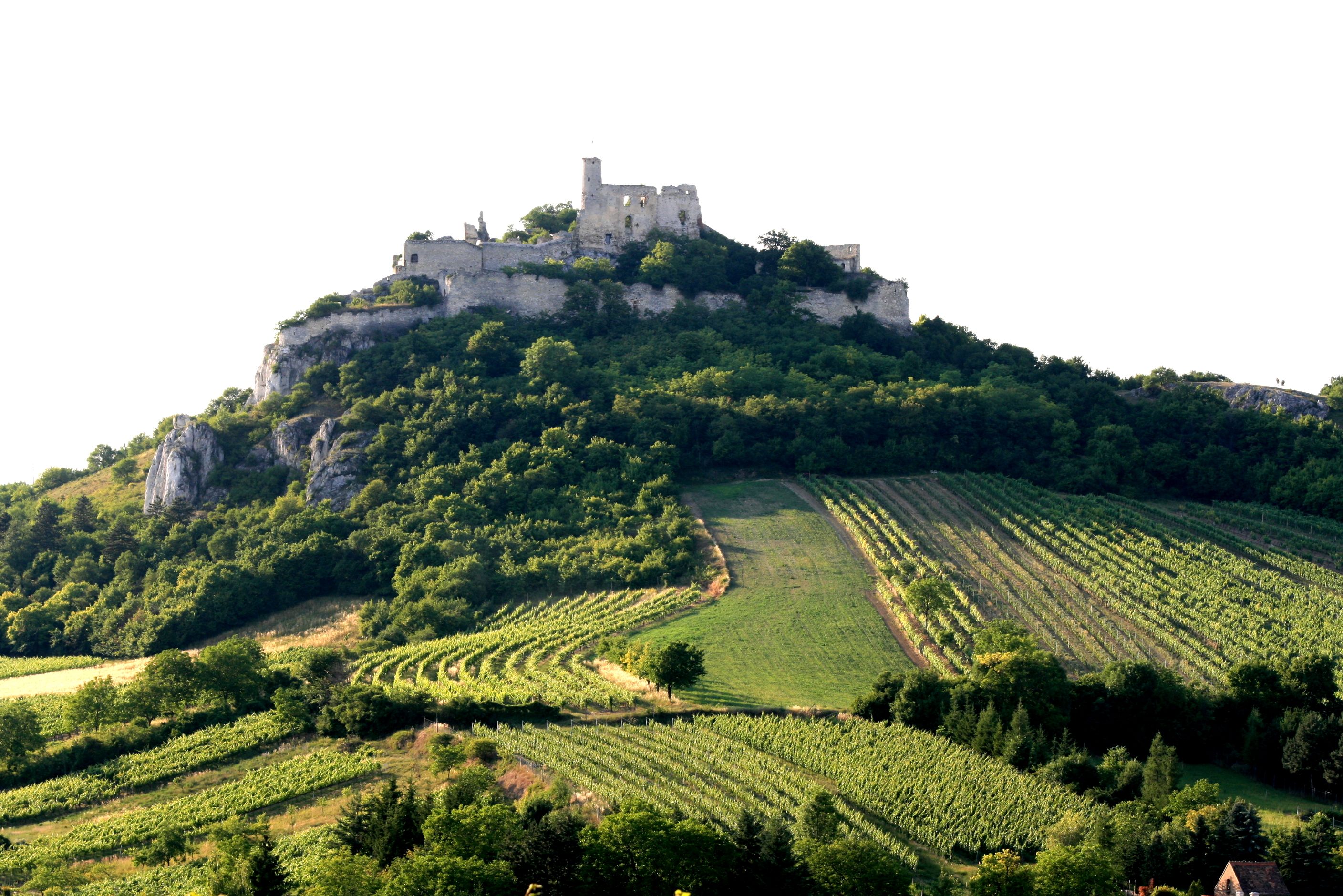 Burgruine Falkenstein(c)Weinort Falkenstein