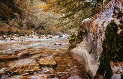 Ein sanfter Fluss schlängelt sich durch die herbstlich gefärbte Landschaft, während die bunten Blätter der Bäume im sanften Wind rascheln. Die klare Luft und das plätschernde Wasser schaffen eine friedliche Atmosphäre, die zum Verweilen einlädt. Hier, wo Natur und Ruhe aufeinandertreffen, können Besucher die Schönheit des Mostviertels in vollen Zügen genießen.
