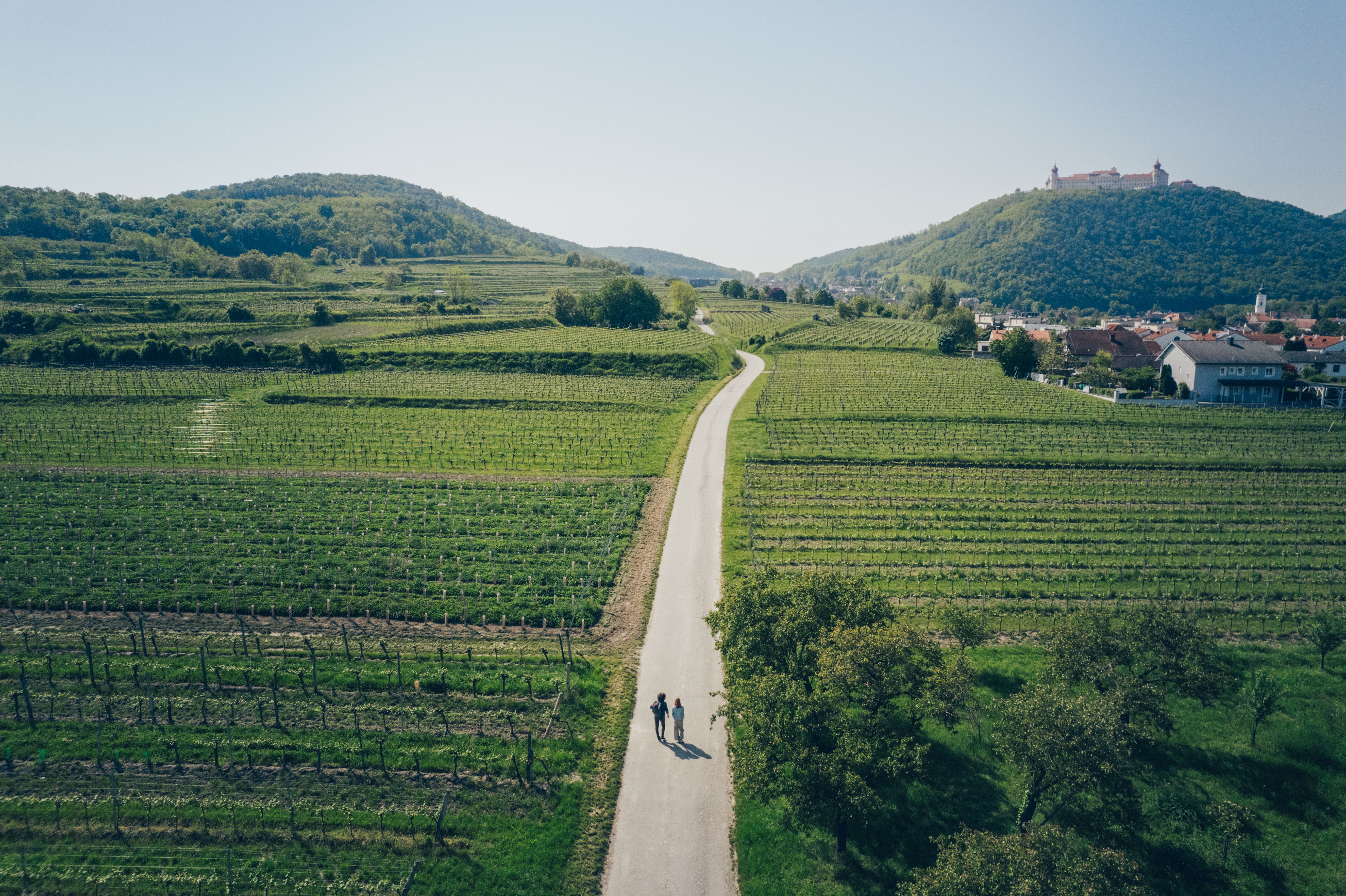 Sanfte Hügel und endlose Weinreben laden zu einem unvergesslichen Erlebnis ein. Der Weg schlängelt sich durch die malerische Landschaft und verspricht atemberaubende Ausblicke auf die umliegenden Weinbaugebiete. Hier wird jeder Schritt zu einer Entdeckungstour durch die Schönheit der Natur.