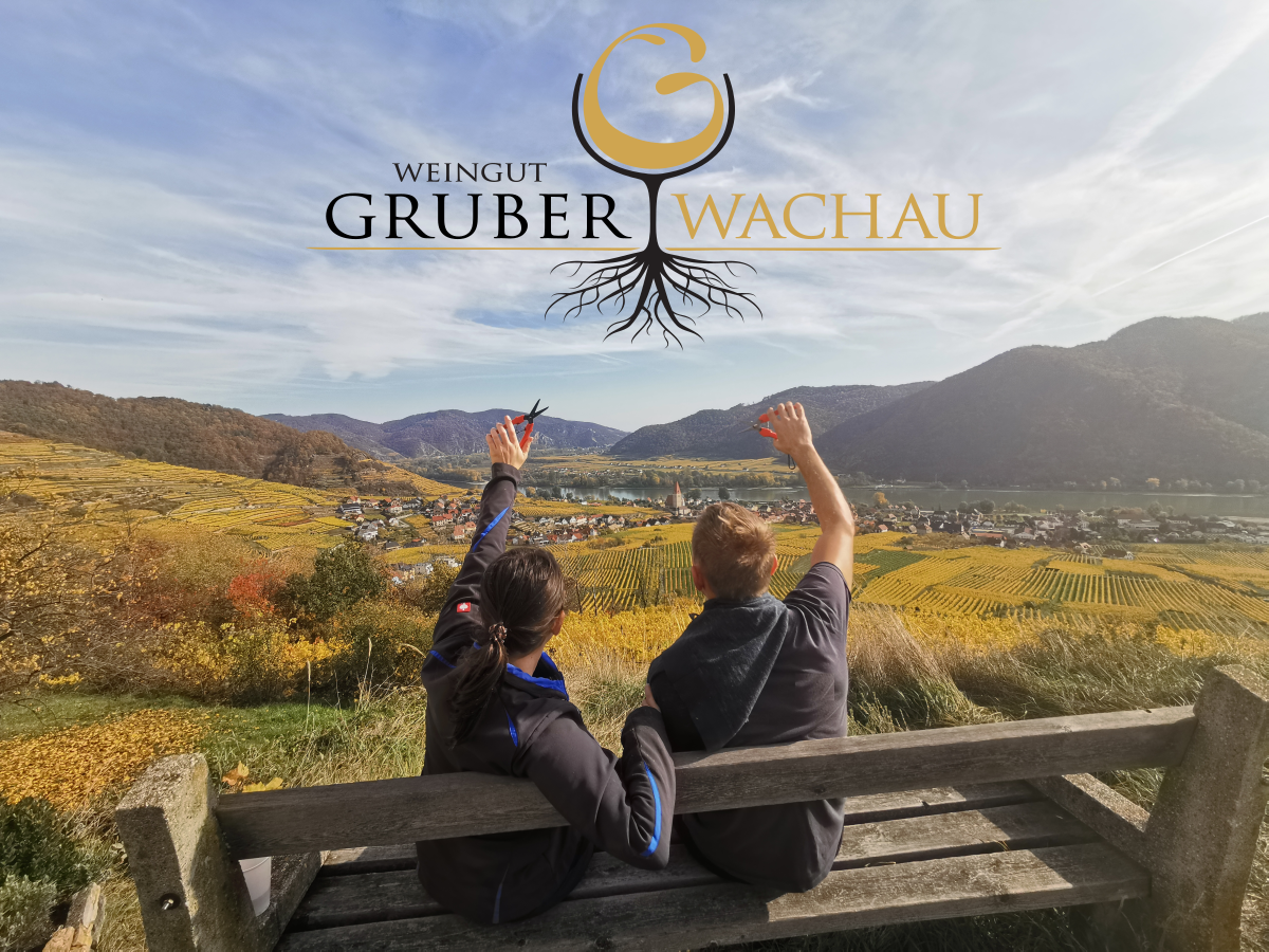 Két ember ül egy padon, és a Wachau szőlőültetvényeit nézi. A háttérben dombok és egy folyó látható.