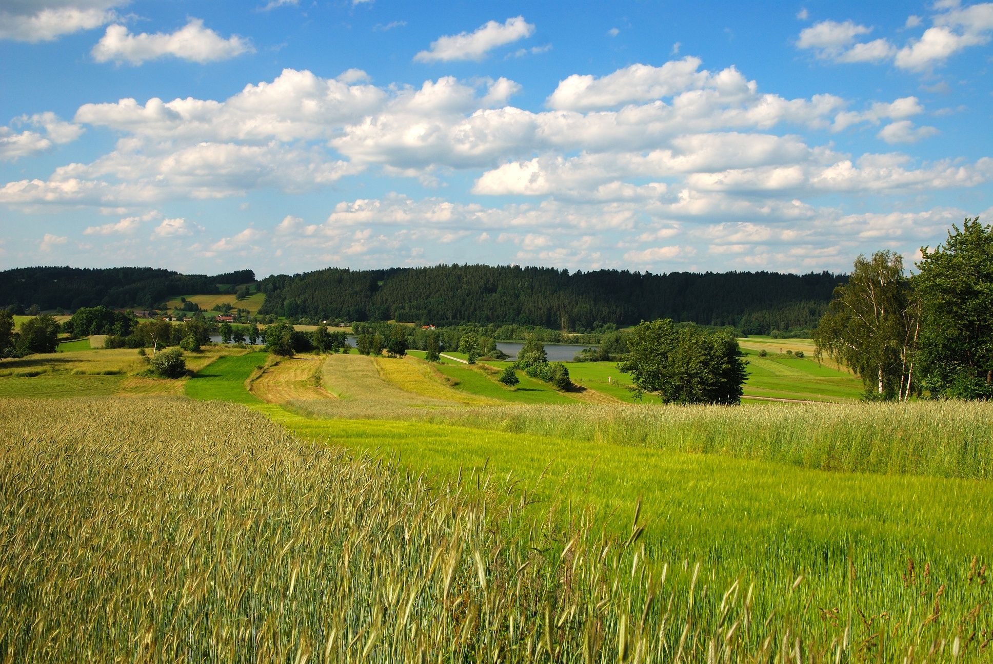 Fotó: Archive Waldviertel Tourismus; Fotó: Reinhard Mandl