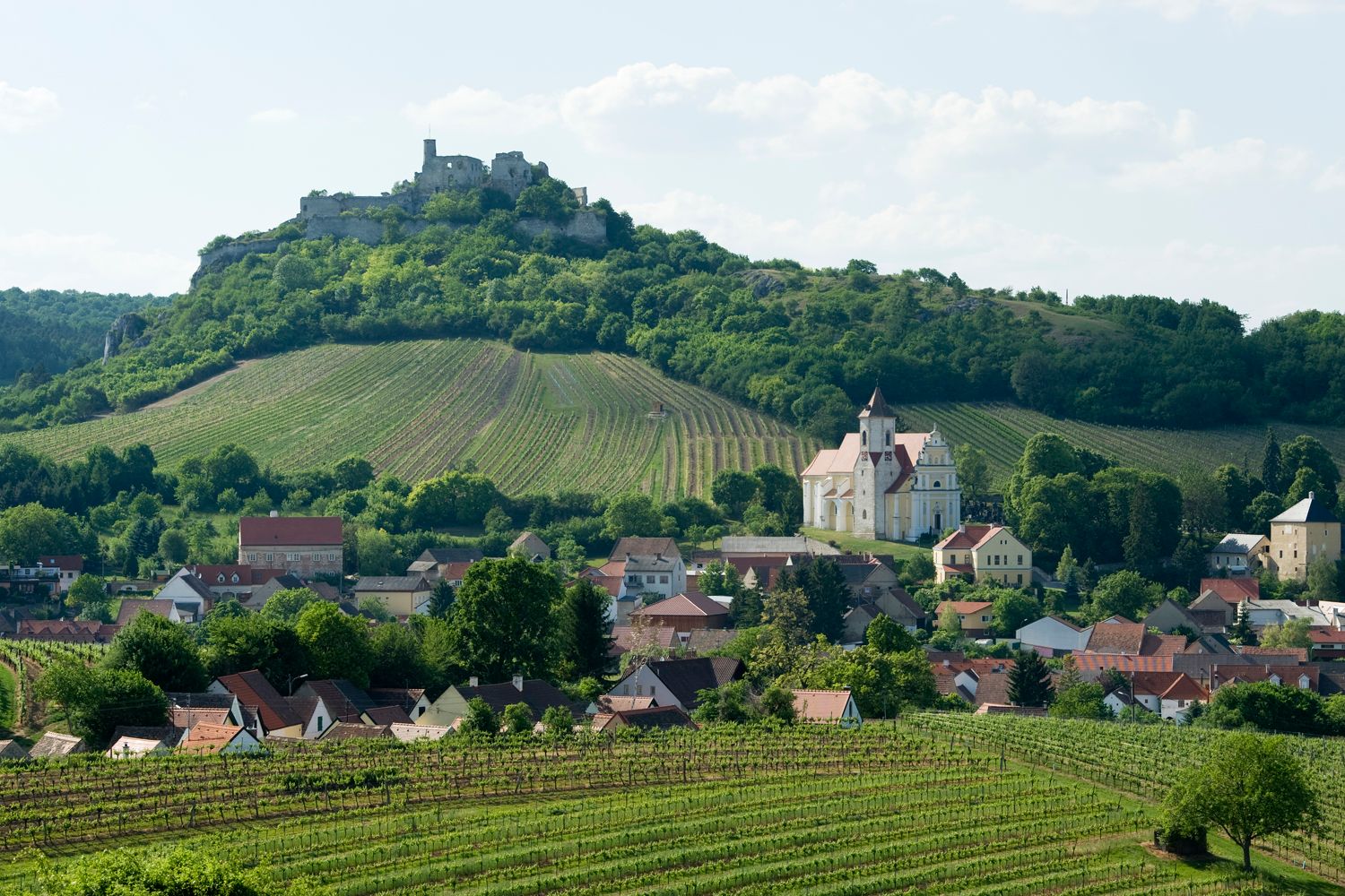 Kilátás a Falkenstein vár romjaira egy dombon, szőlőskertekkel és egy templommal körülvett faluval.