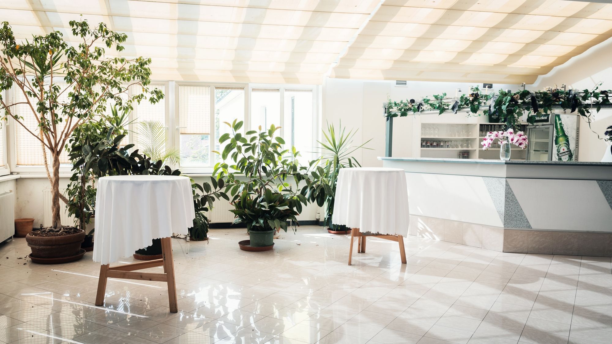 Világos szoba növényekkel, két bárasztallal, fehér terítővel és egy bárral a háttérben.