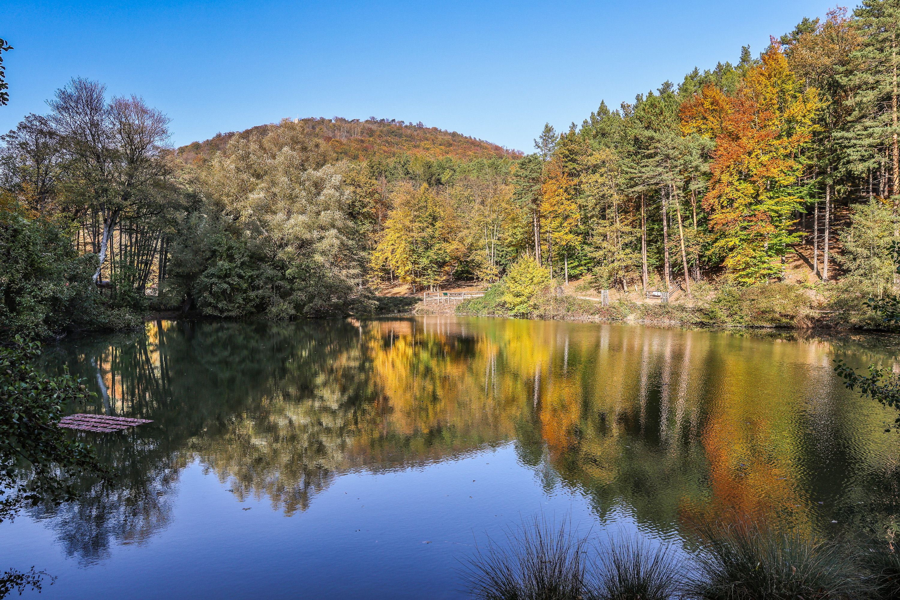 Sparbach natúrpark