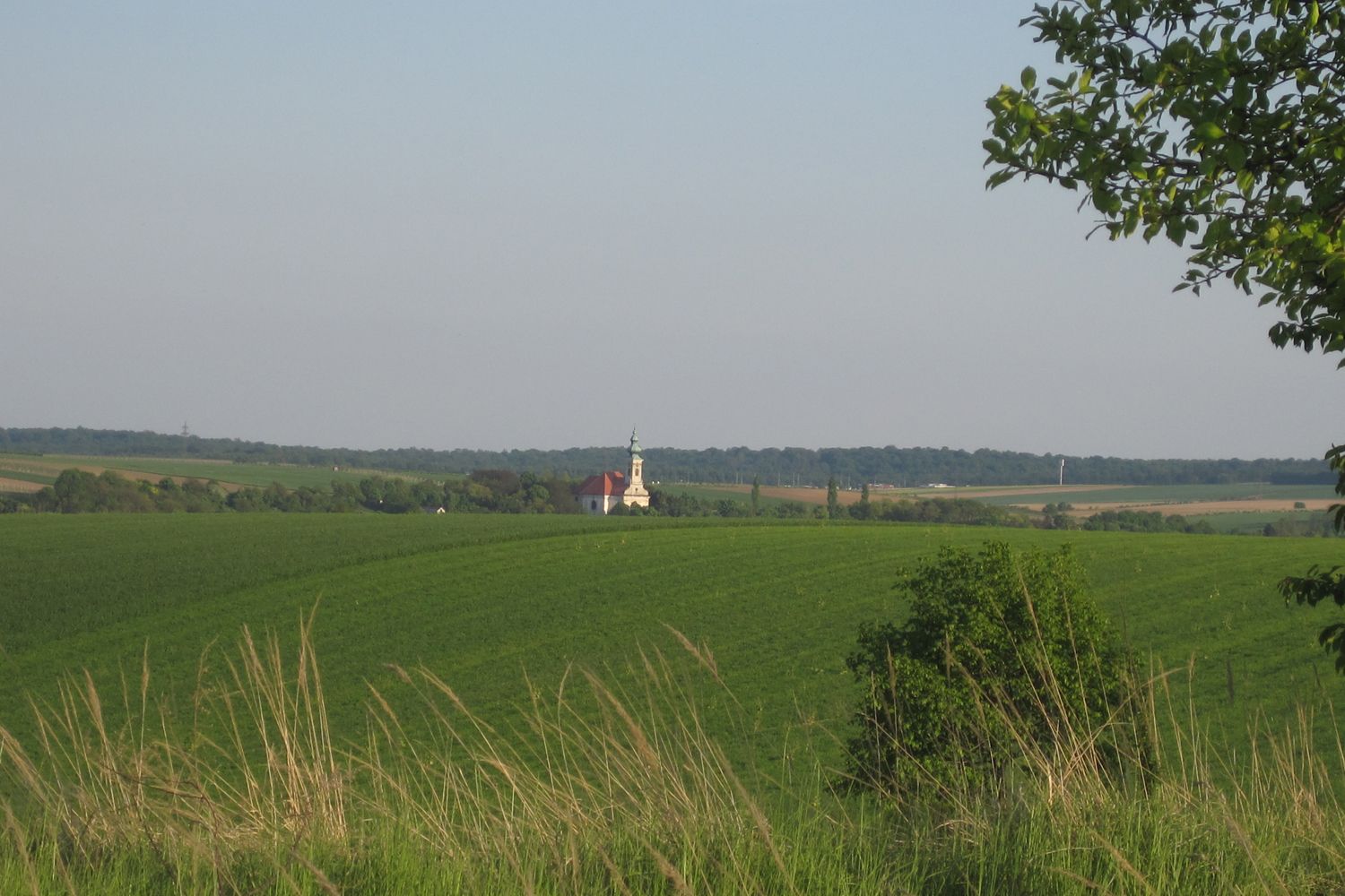 Tájkép egy templommal a távolban, zöld mezőkkel és fákkal körülvéve.