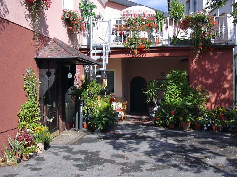 Bejárat egy panzióba, ahol rengeteg növény és virág van.