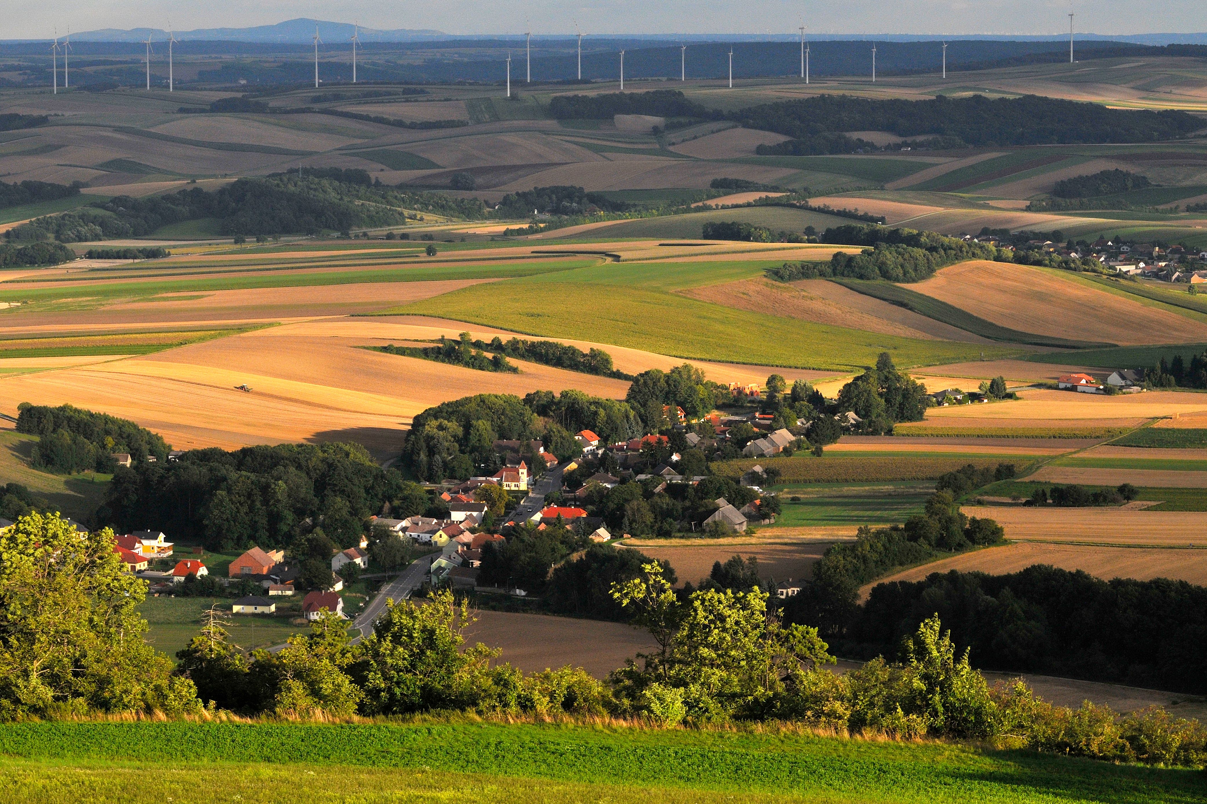 Tájkép mezőkkel, egy faluval és szélturbinákkal a háttérben.