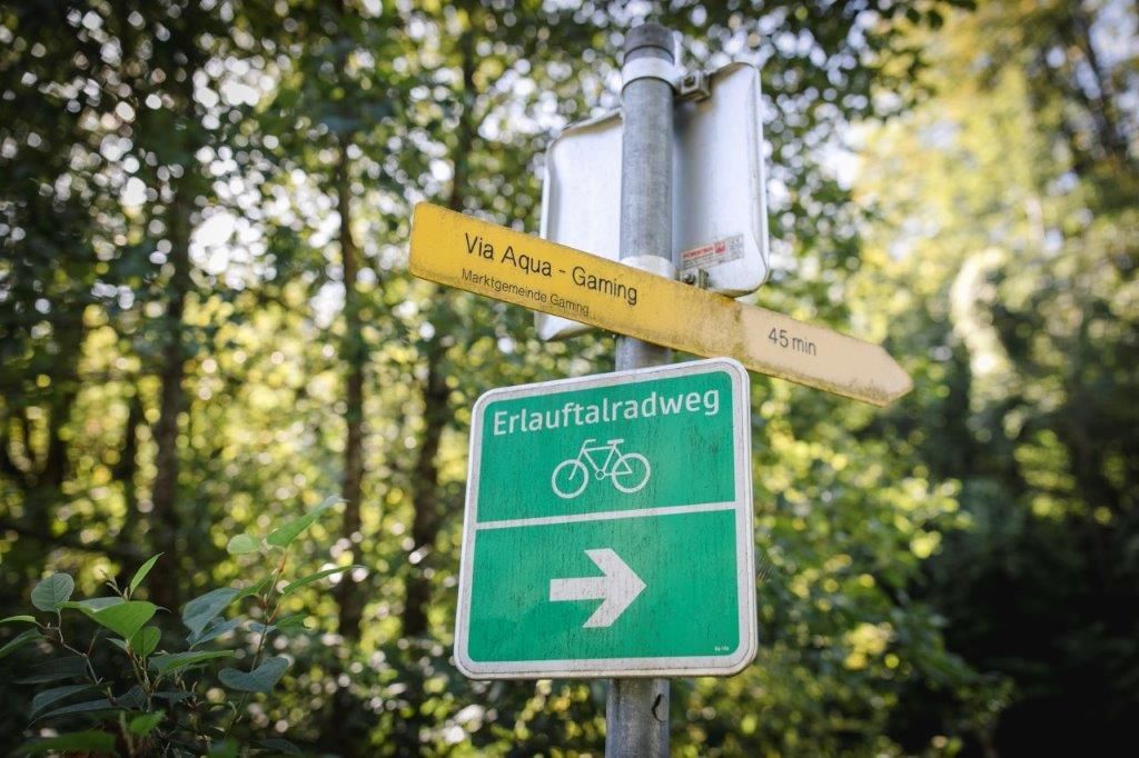 Forst Kienberg (25)