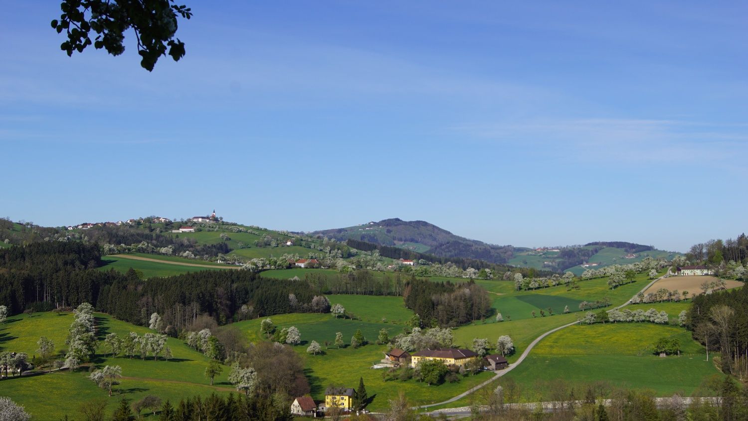 Panoráma kilátás a Trefflingblickwegre