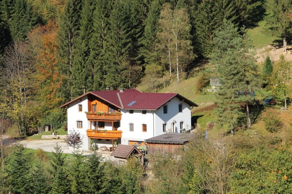 Ház