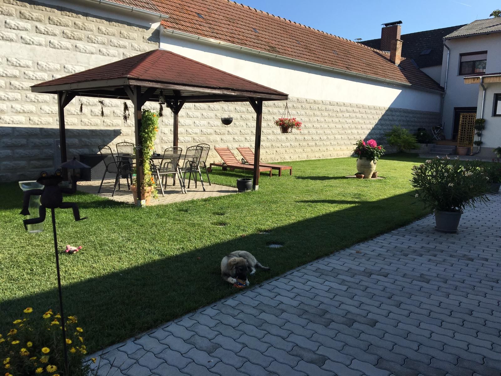 Hangulatos napozó pázsit