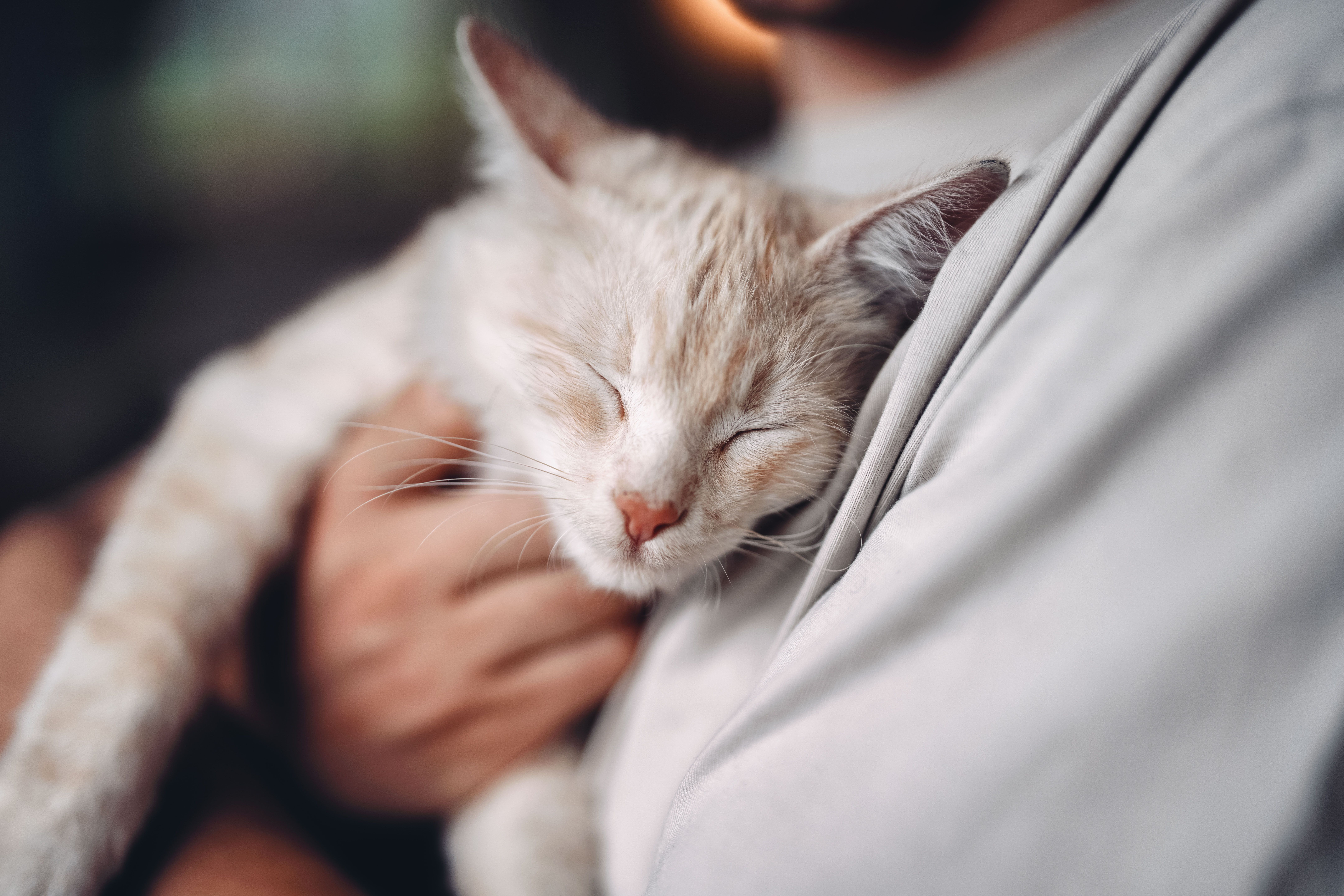 Gyümölcsleveket, ill. mustot is forgalmazó vendéglő Hörlesberg-hegyen