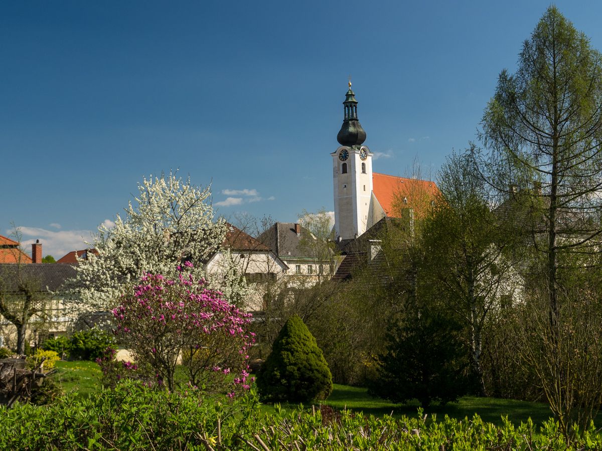 Purgstall-i templomtorony, előtérben virágzó fákkal.