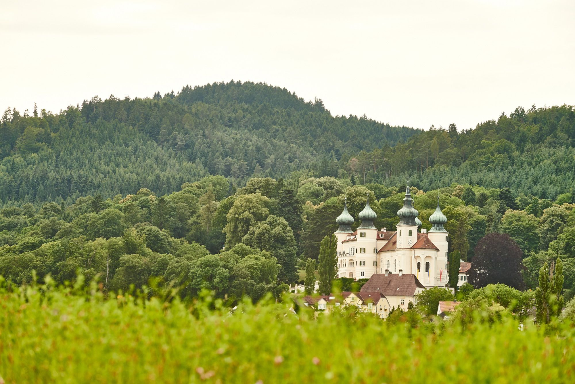 Kilátás az erdővel körülvett Artstetten kastélyra