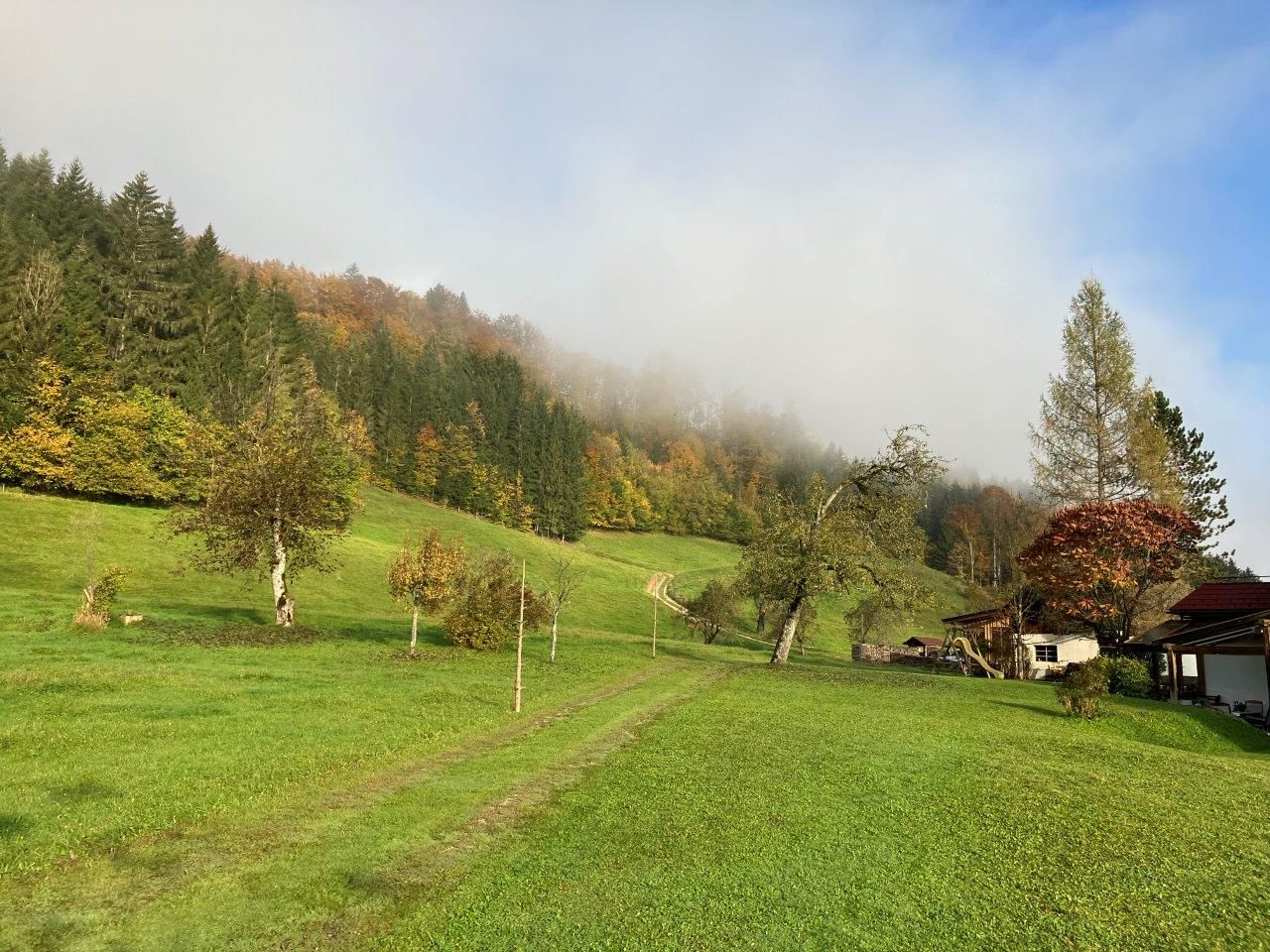 tágas-kert-az-nyaralóház-előtt