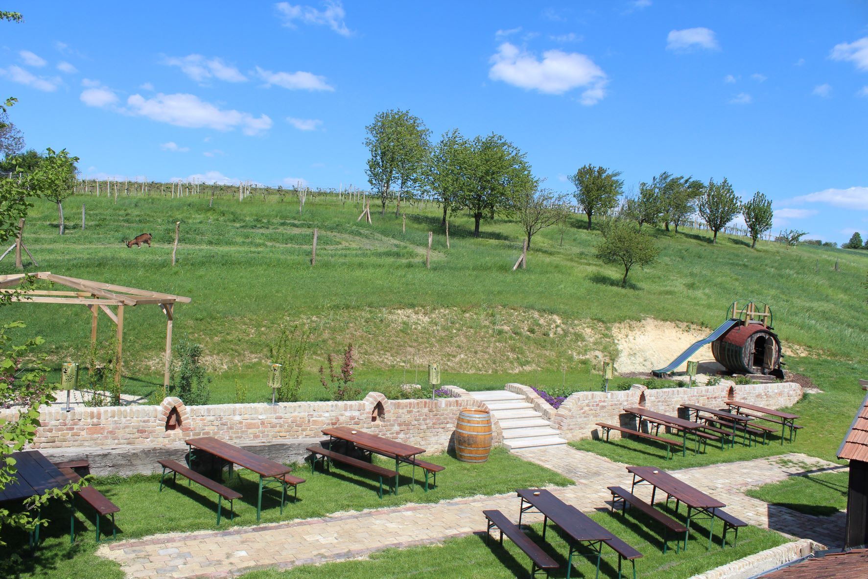 Hagyományos borozó fapadokkal, boroshordós játszótérrel és zöld dombokkal a háttérben.
