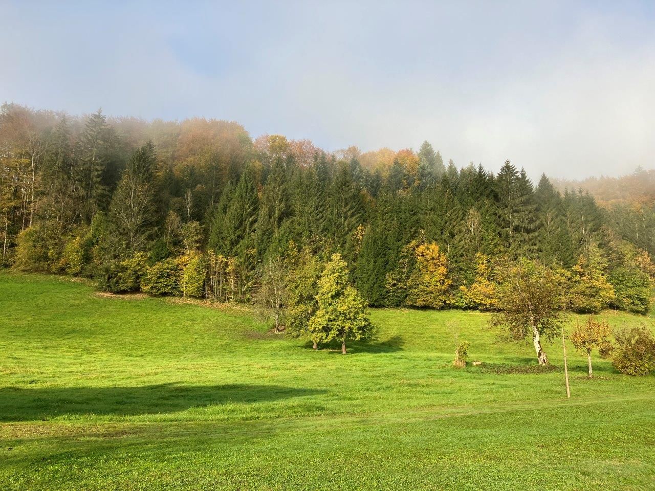tágas-kert-az-nyaralóház-előtt
