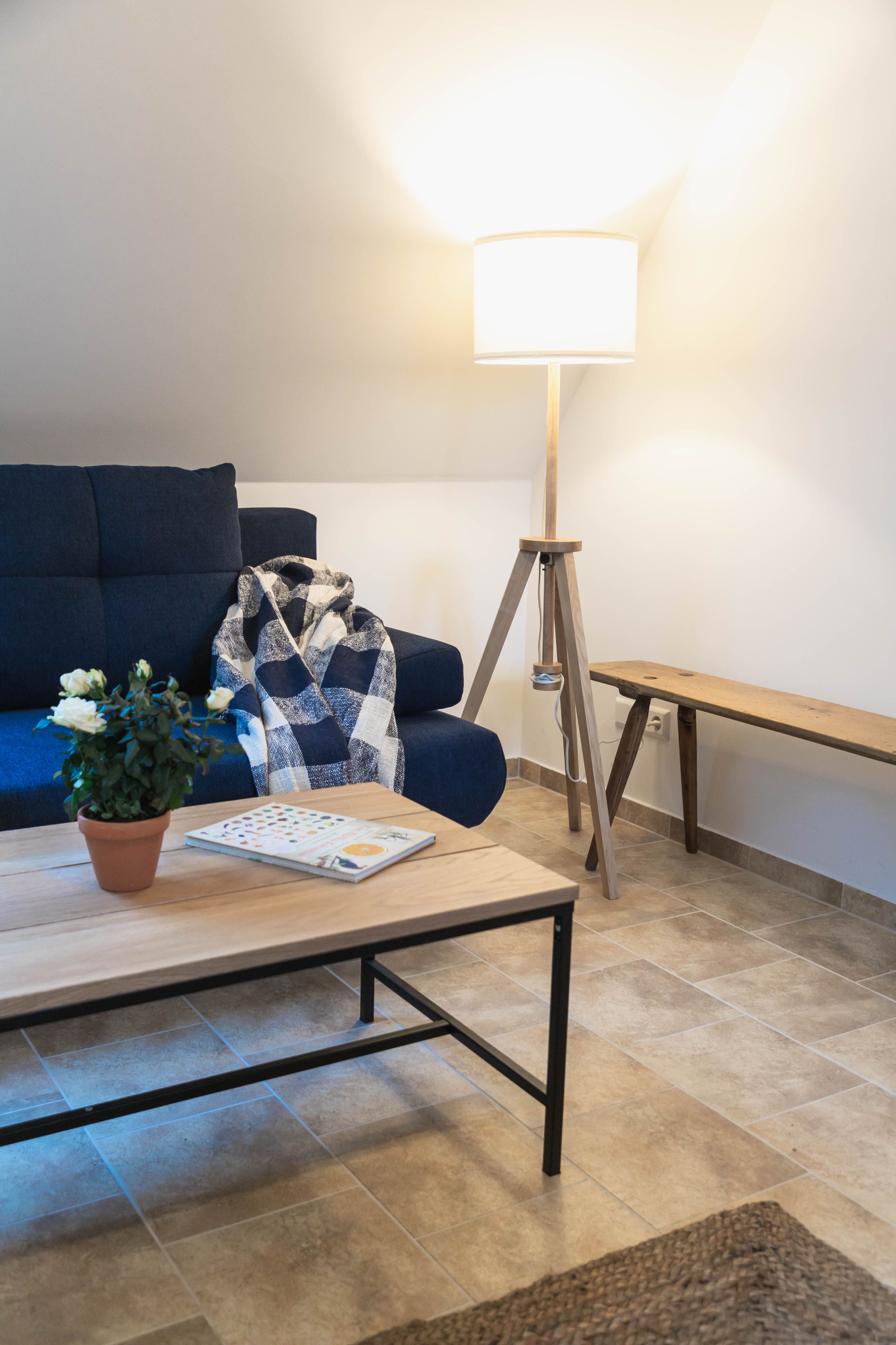 Hangulatos olvasósarok kék kanapéval, takaróval, állólámpával és faasztallal, amelyen növény és könyv található.