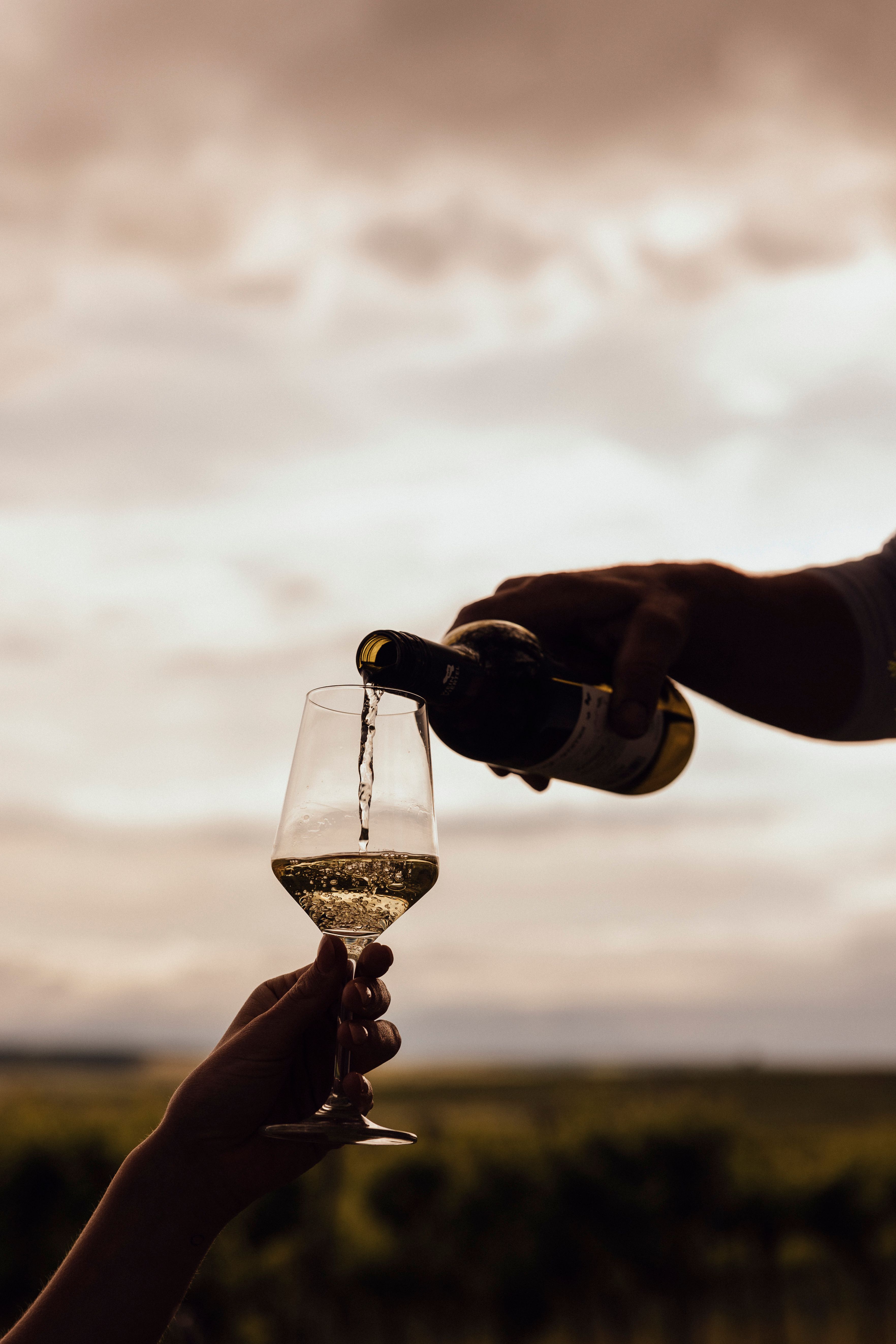 A bort a szabadban töltik pohárba, a háttérben tájkép.