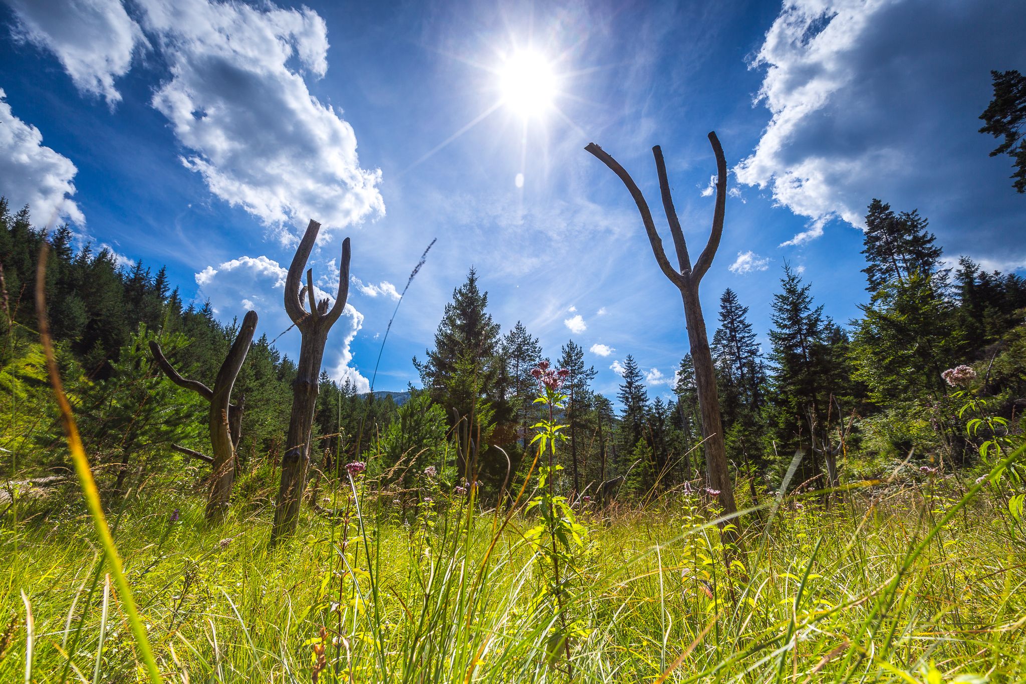 Tematikus állomás fából készült figurákkal 