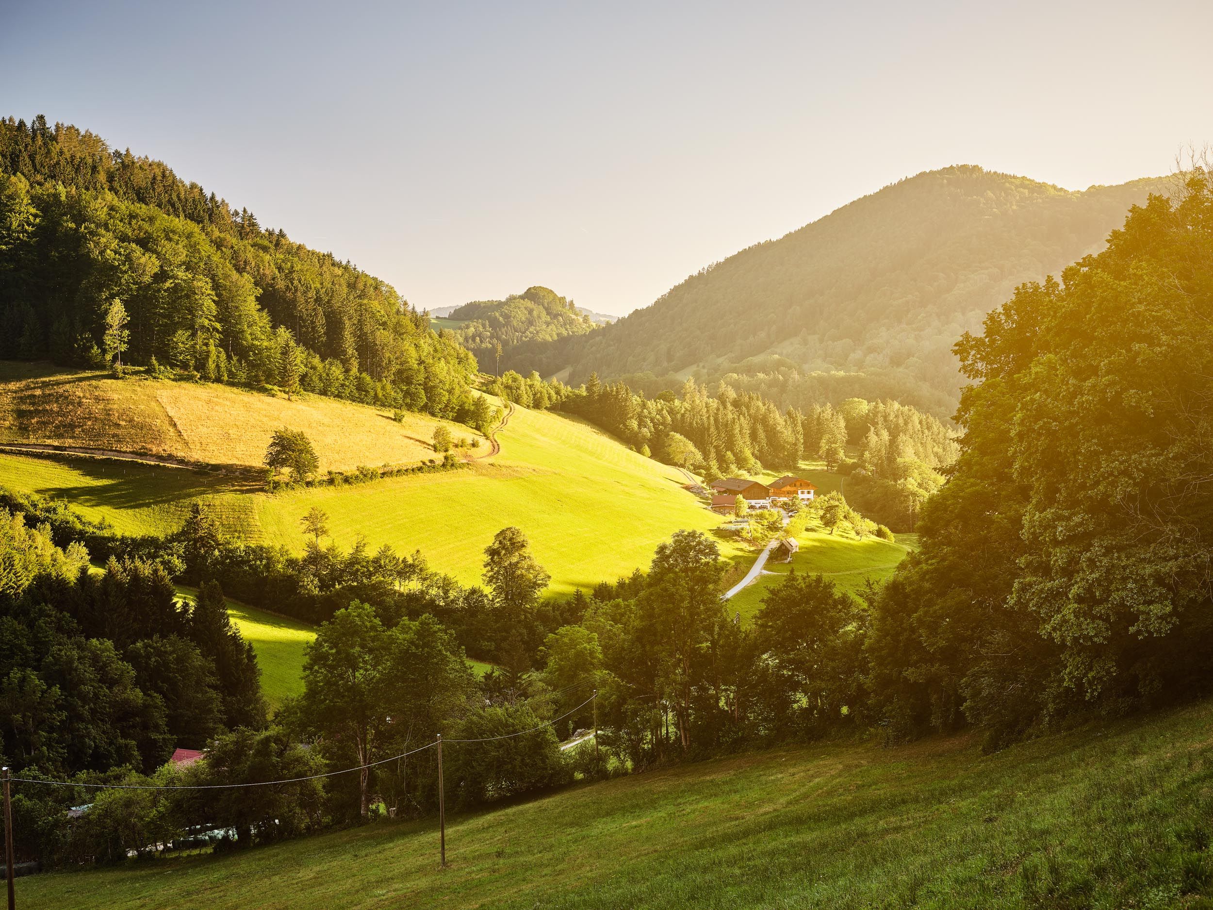 Törpe farm