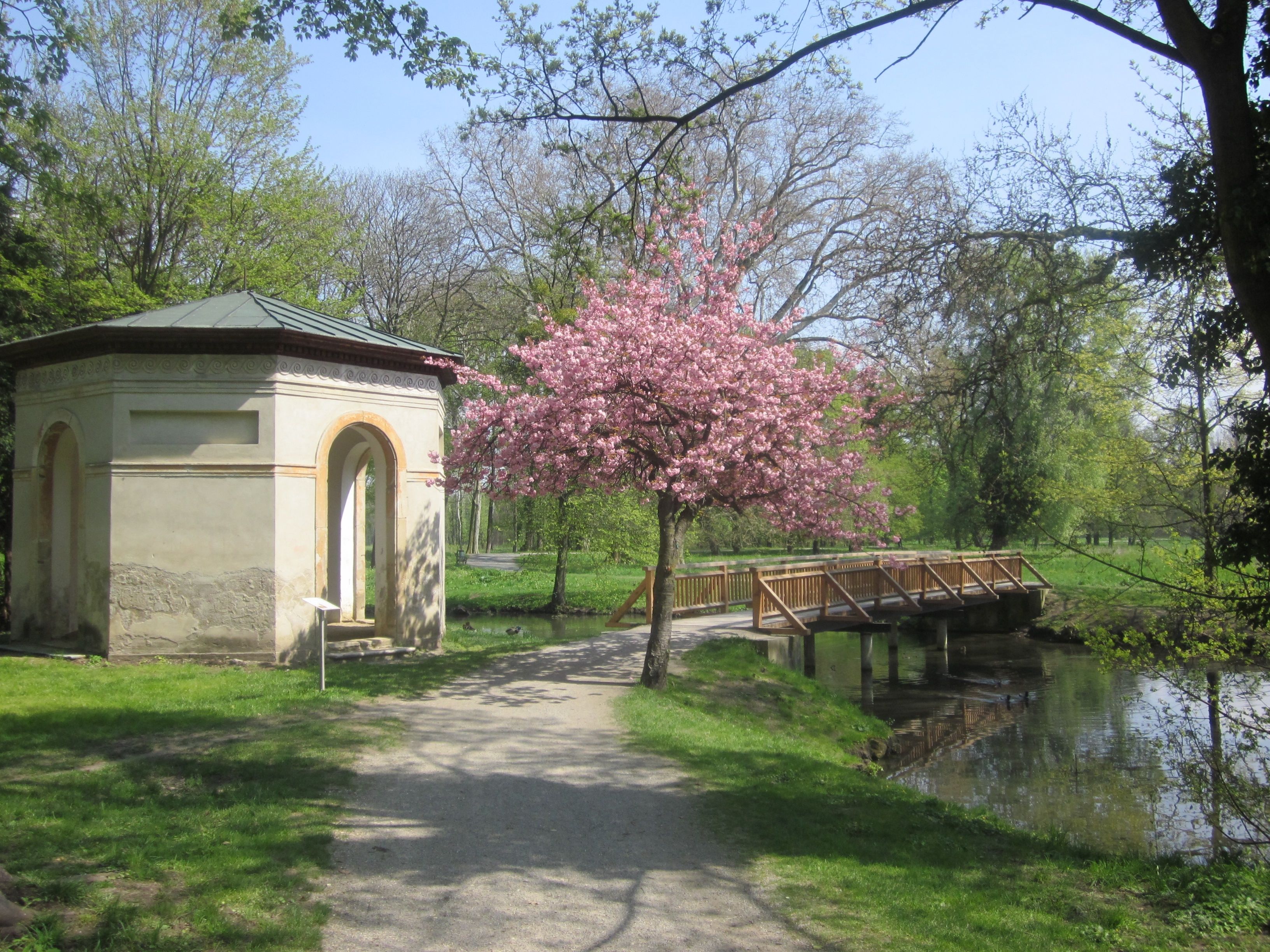 Pavilon a parkban tavasszal virágzó fával