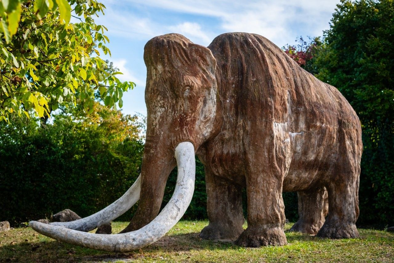 Mammut Urzeitmuseum (c) Marktgemeinde Nußdorf ob der Traisen
