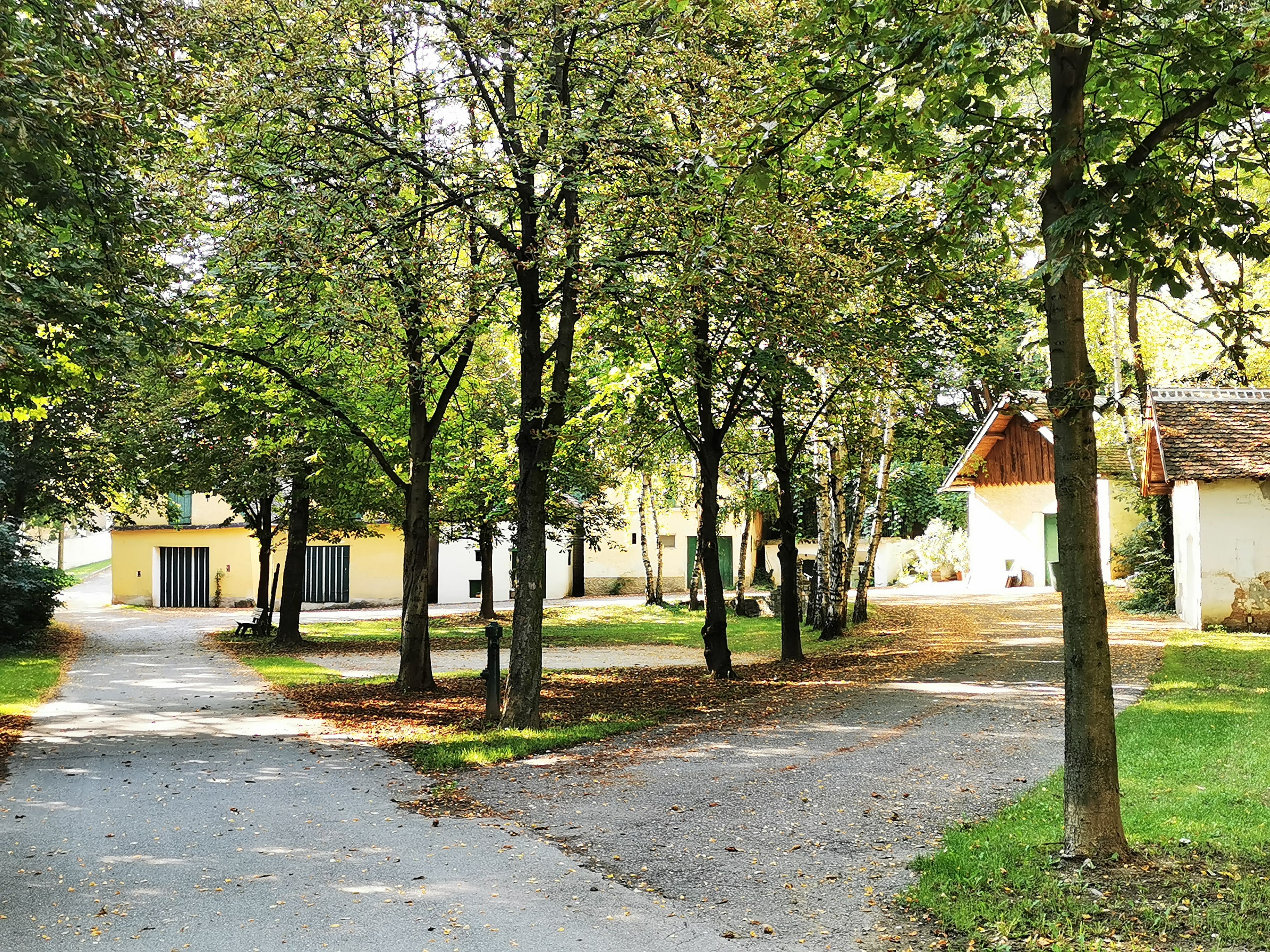 Csendes park, a háttérben fákkal és kis épületekkel.