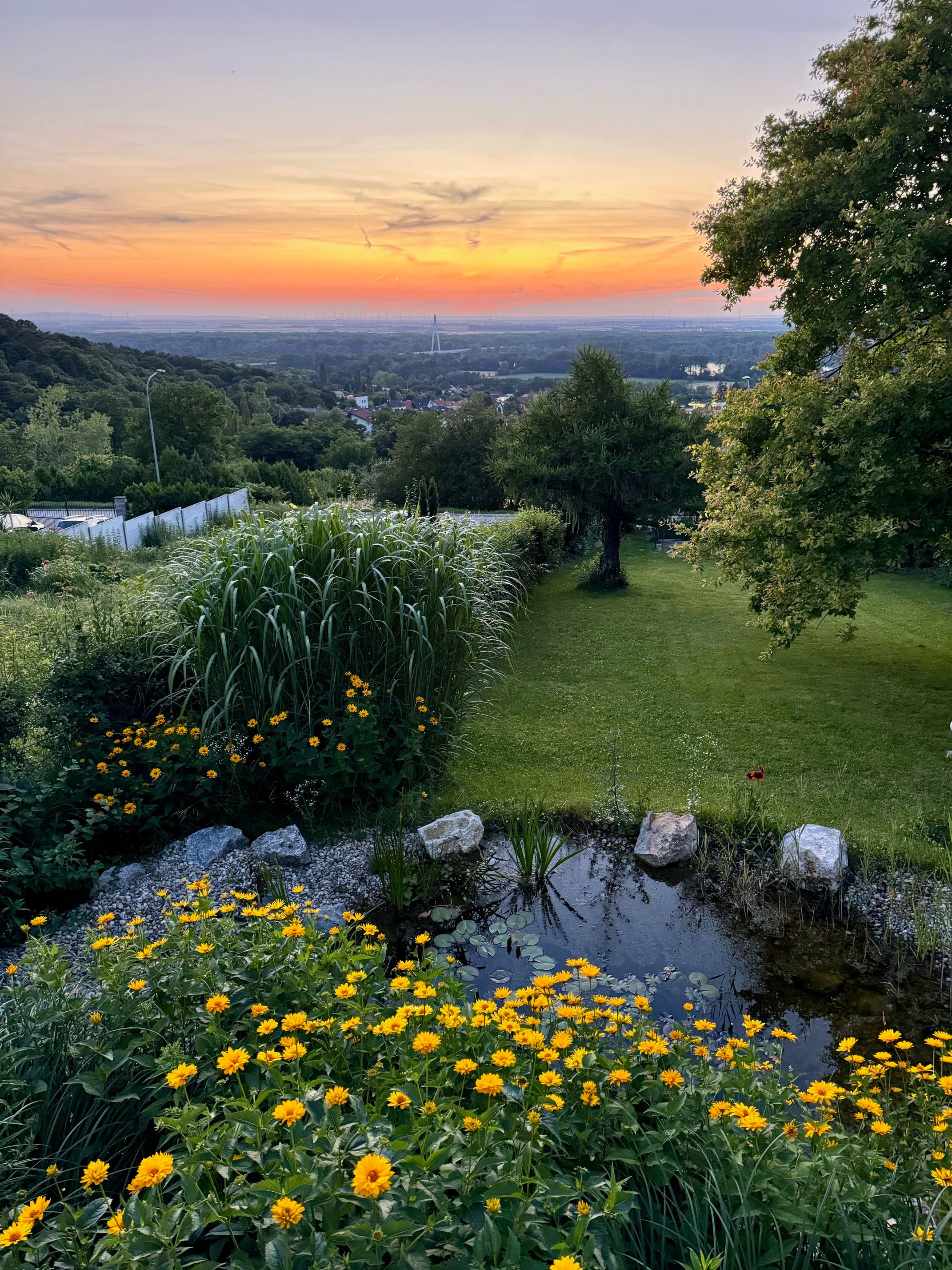 Naplemente Hainburg an der Donau felett a Chalet Auenblick kertjéből, sárga virágokkal és egy kis tóval az előtérben.