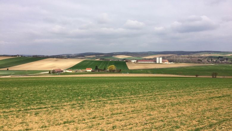 Tájkép mezőkkel és farmmal a távolban.