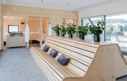 Korngut külső nézet