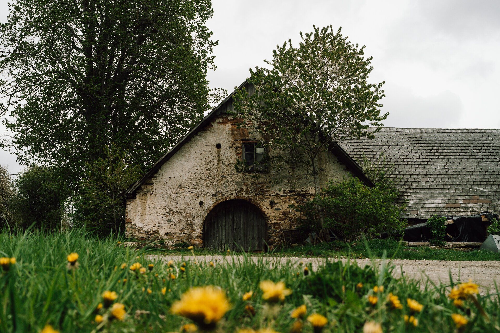 A buja zöldellő és virágzó pitypangos rétekkel körülvett régi parasztház hívogató nyugalmat sugároz. A háttérben húzódó dombok a kirándulókat a természet szépségének felfedezésére és a friss levegő élvezetére invitálják.