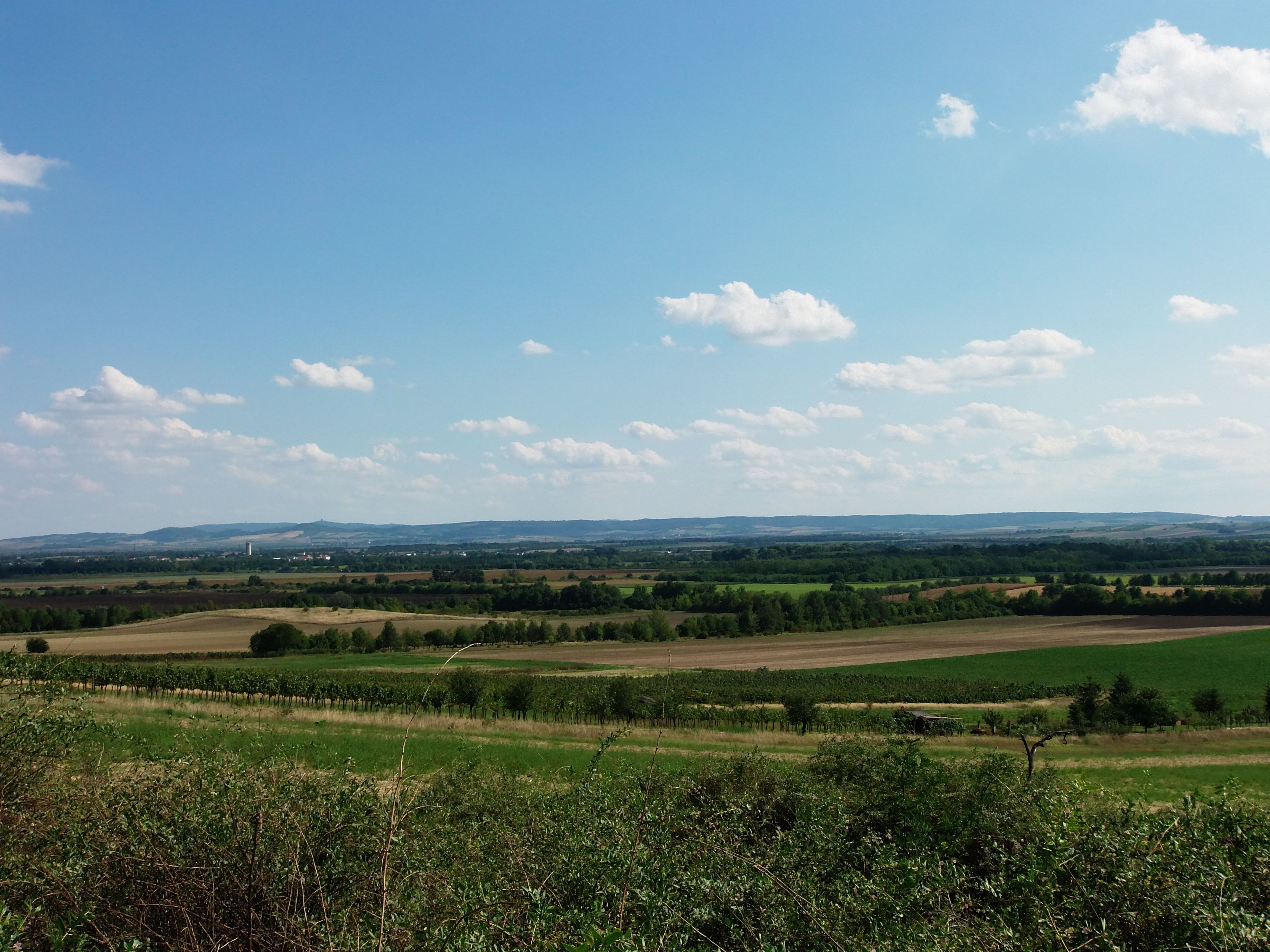 Széles táj, mezőkkel és dombokkal, kék égbolt alatt, felhőkkel.