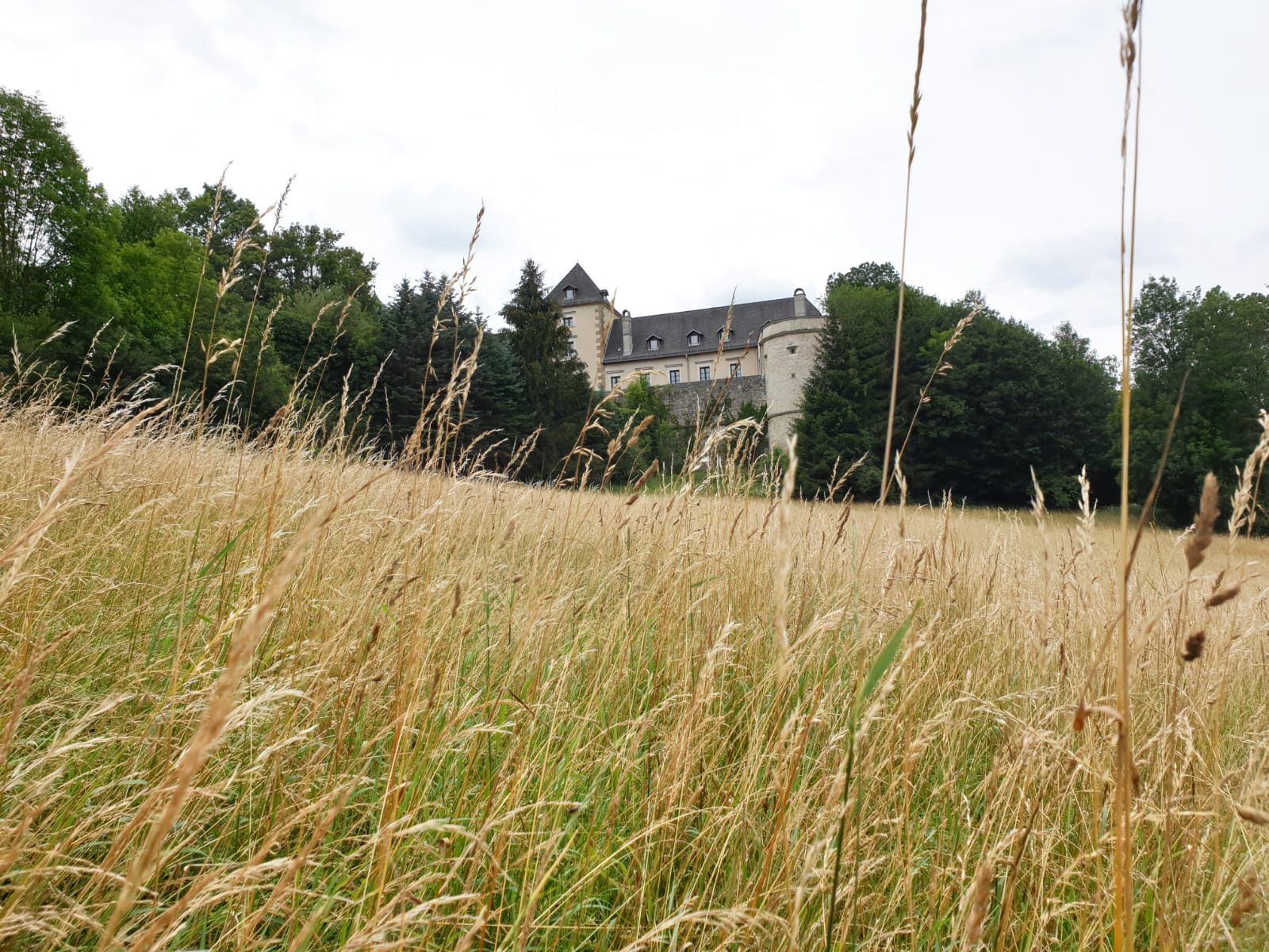 Neuhaus kastély