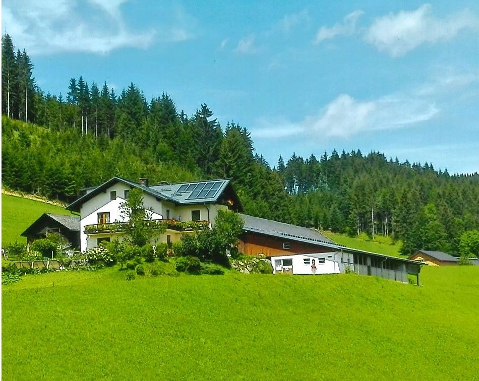 Seppenbauer farm nyáron