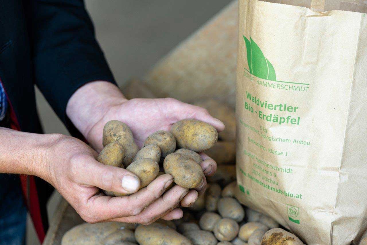 Hammerschmidt biofarm