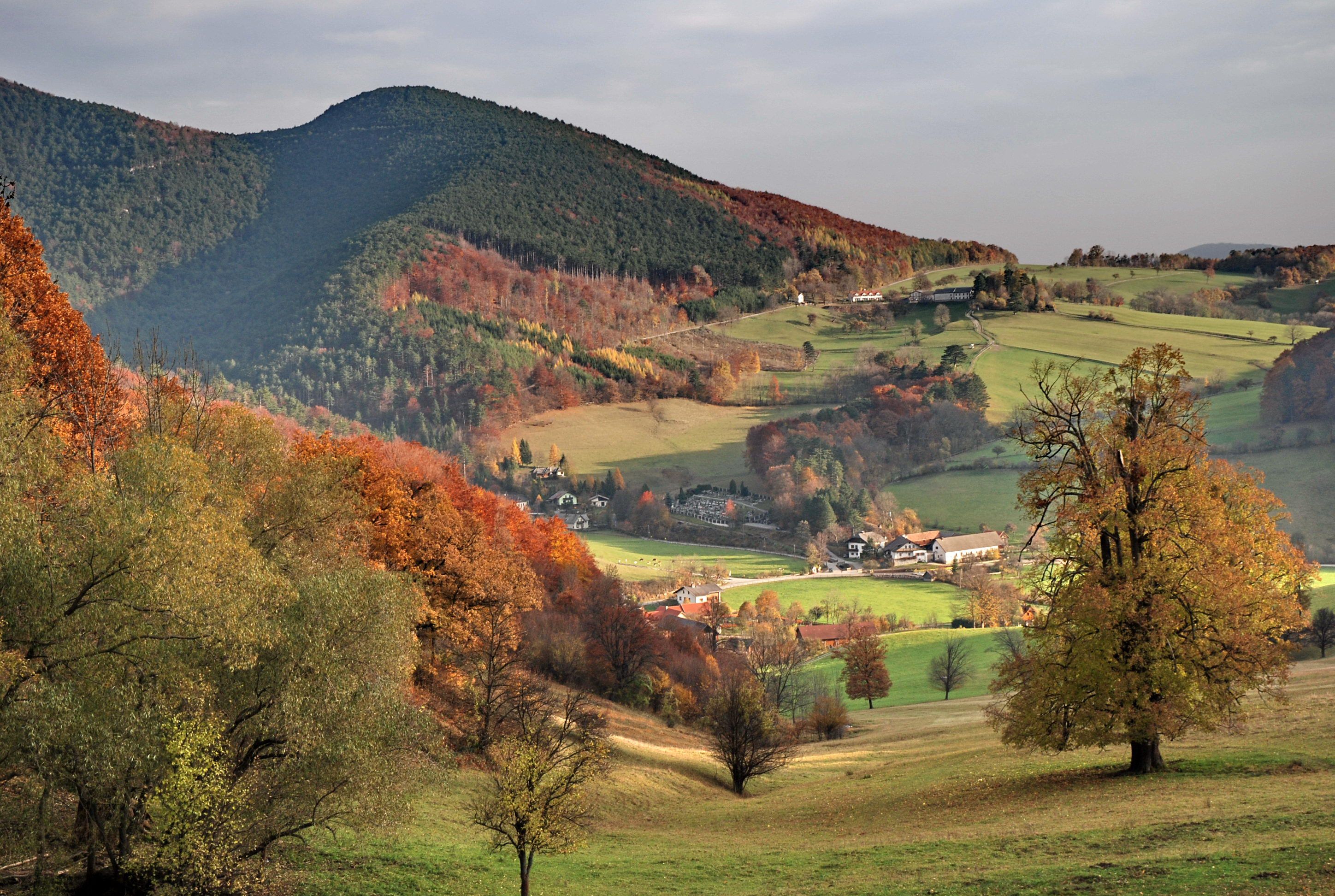 A Bécsi-erdő
