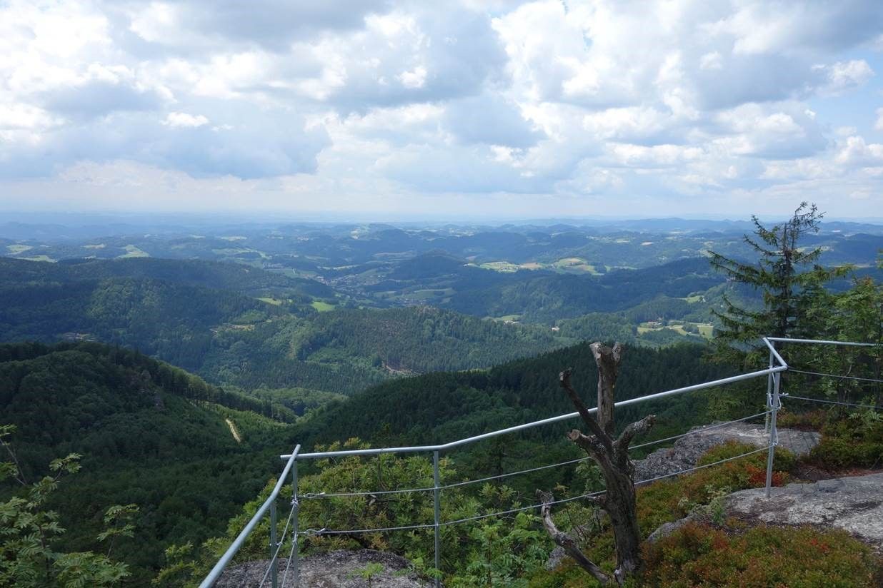 Kilátás a vár kőfaláról az erdős dombokra és völgyekre, felhős égbolt alatt.