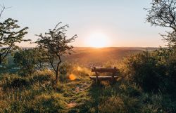 Aussichtsbank am Heiligenstein im Kamptal mit Blick über die Hügellandschaft des Waldviertels im warmen Licht des Sonnenuntergangs.