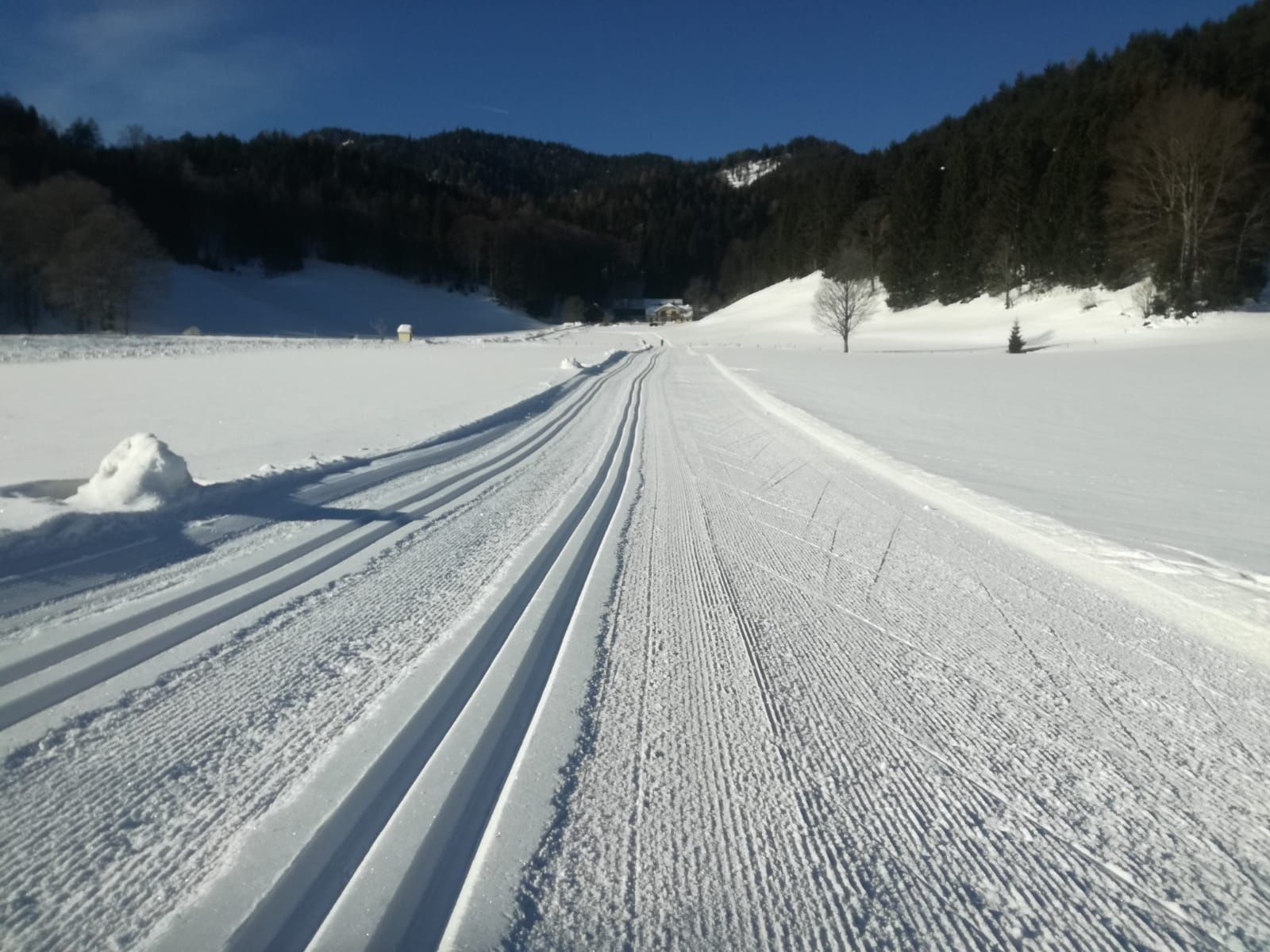 Panoráma ösvények