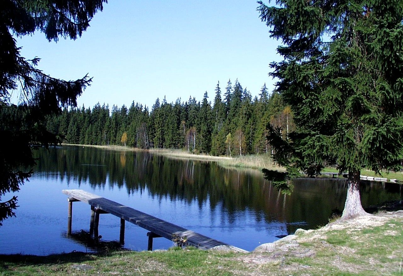 Békés tó a Nordwald natúrparkban, fahíddal és sűrű tűlevelű fákkal körülvéve.