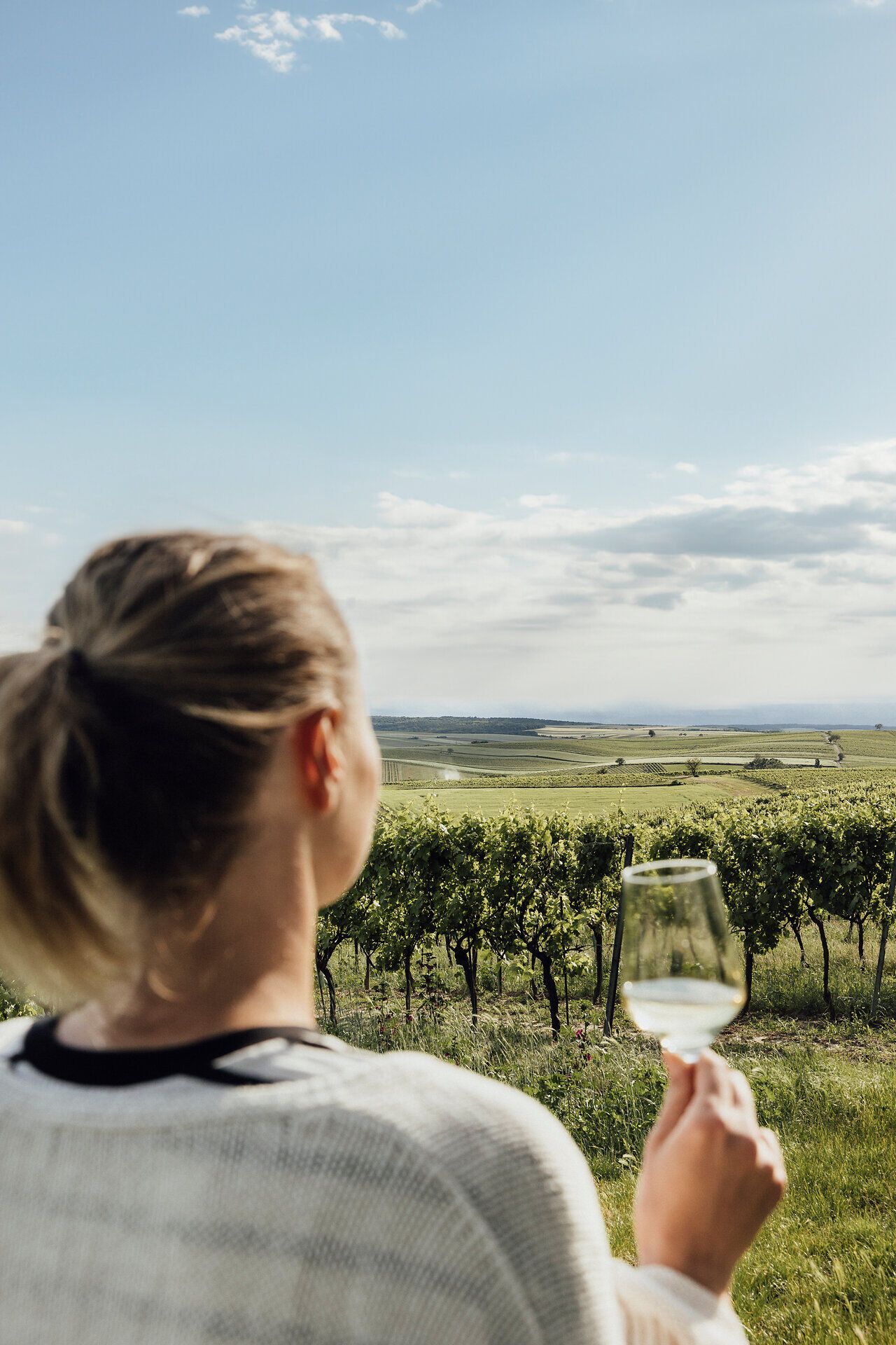 Inmitten der sanften Hügel des Weinviertels genießt man den Anblick endloser Weinreben, während ein Glas erlesener Wein in der Hand schimmert. Die grüne Landschaft strahlt Ruhe und Gelassenheit aus, perfekt für eine genussvolle Auszeit im Weinfrühling.