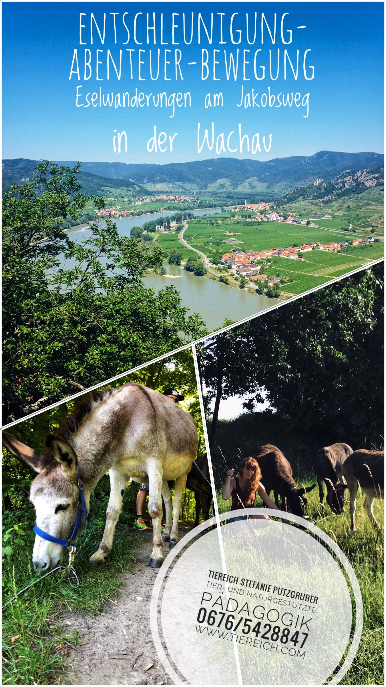 Flyer szamár túra