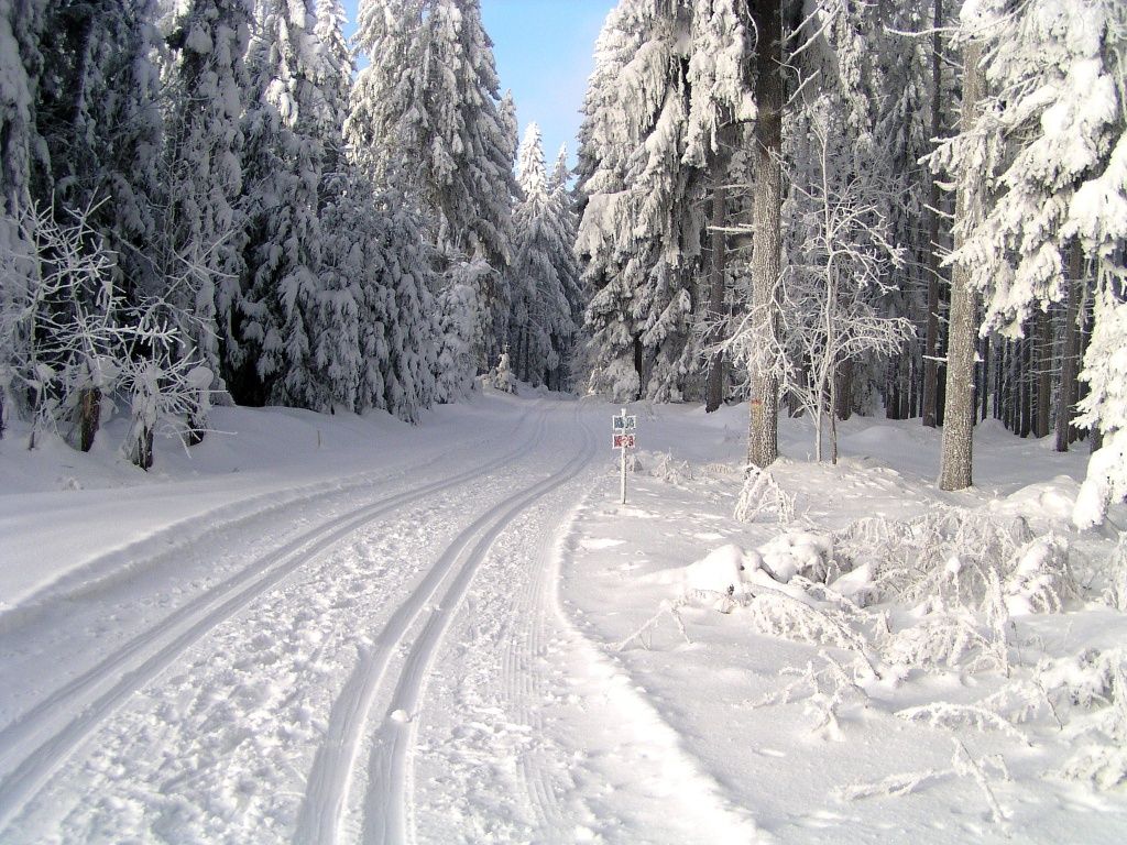 Sífutás Ottenschlagban © Gemeinde Ottenschlag