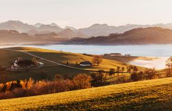 Die sanften Hügel des Mostviertels erstrahlen im warmen Licht des Herbstes, während der Nebel sanft über die Täler zieht. Die goldenen Wiesen und bunten Laubblätter schaffen eine malerische Kulisse, die zum Verweilen und Entdecken einlädt.