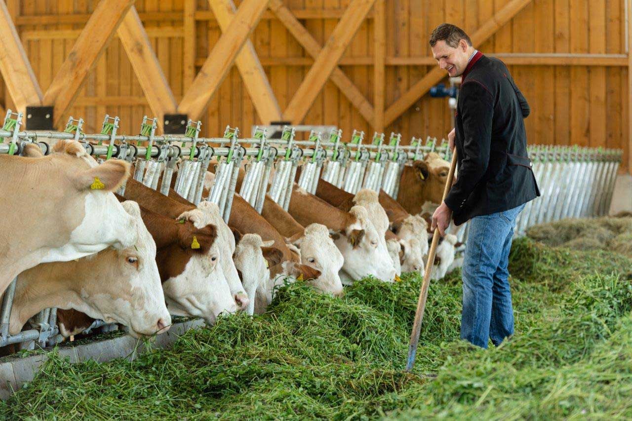 Hammerschmidt biofarm