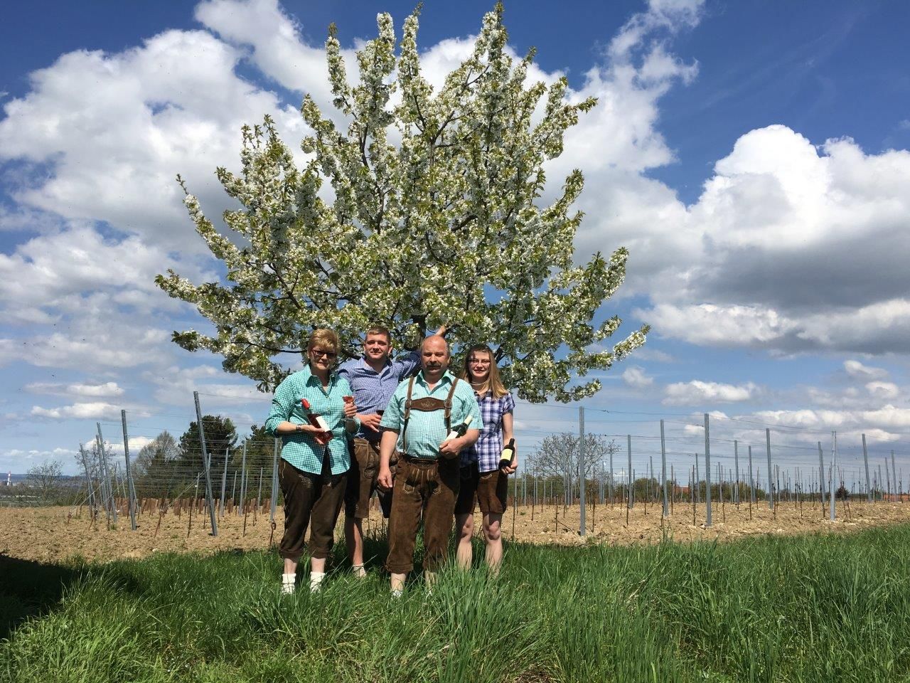 Négy ember áll egy virágzó fa előtt egy mezőn.